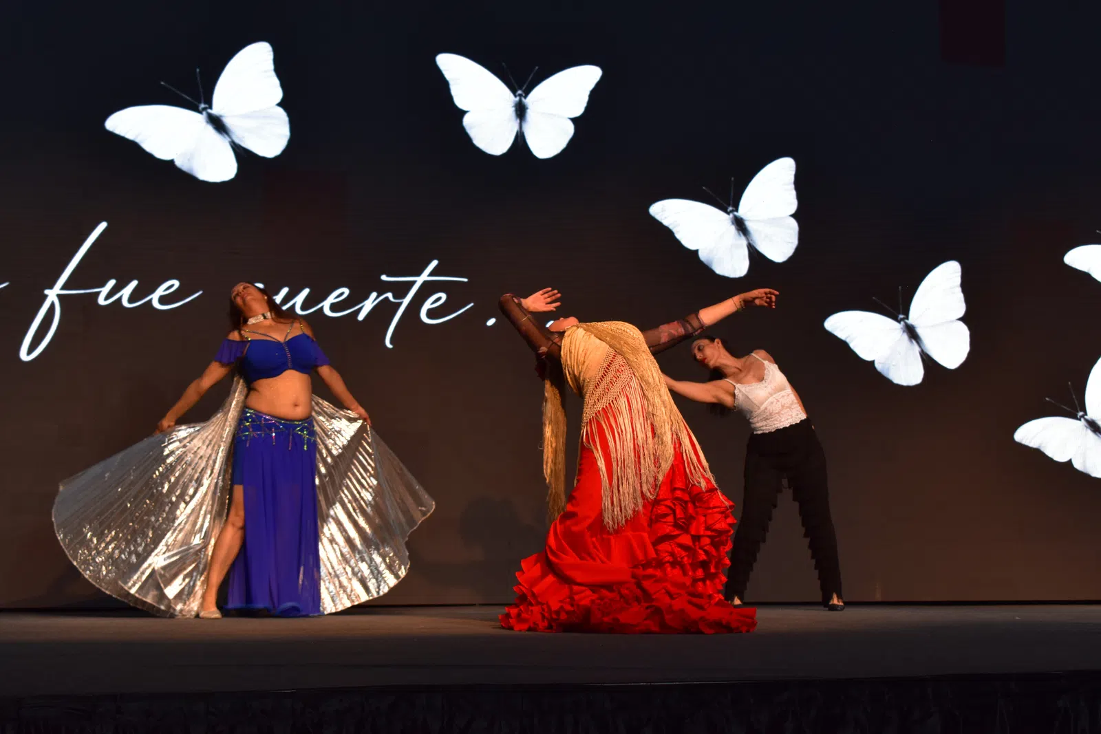 Festival de Danza de Siete Notas — fotografía DSC_6466