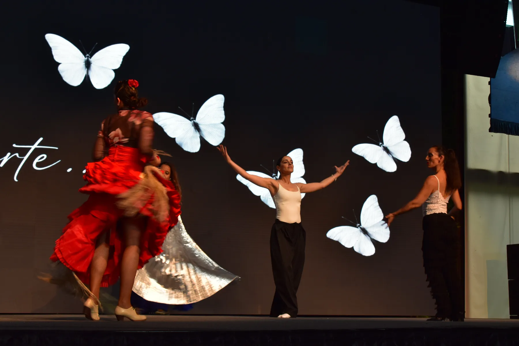 Festival de Danza de Siete Notas — fotografía DSC_6471
